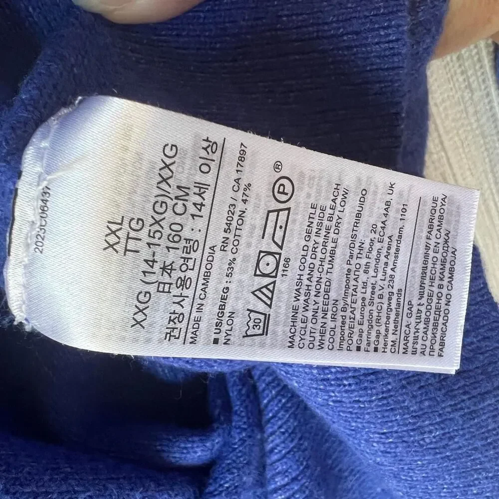 Gap Blue and Purple Jumper